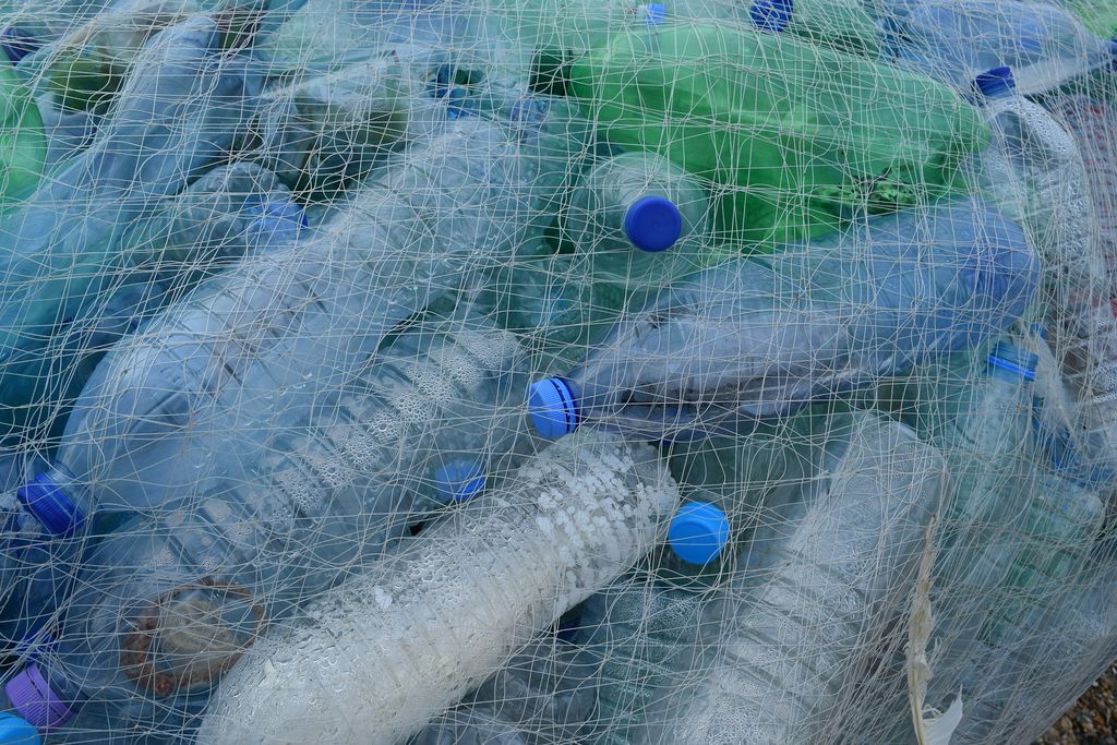 Bioplástico é tão nocivo quanto o plástico tradicional, revela estudo