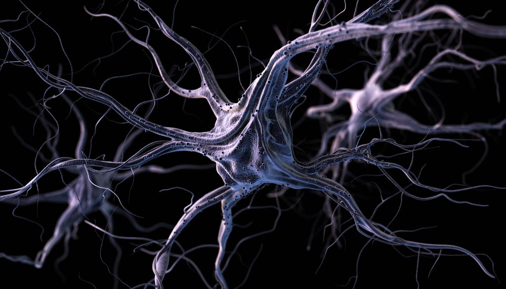 Conexões neuronais são mais importante que o tamanho do cérebro para a inteligência humana (Imagem: iLexx/Envato)