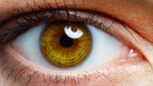 Biohackers conseguem implantar visão noturna em olho humano