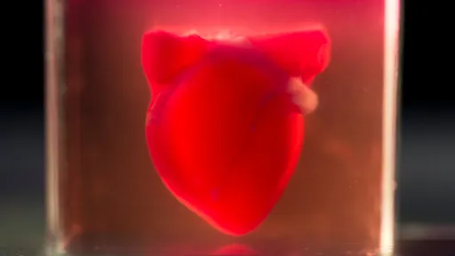 Pesquisadores israelenses imprimem o primeiro coração 3D vascularizado do mundo