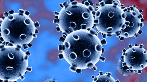 COVID-19: há pelo menos 8 tipos diferentes do novo coronavírus pelo mundo