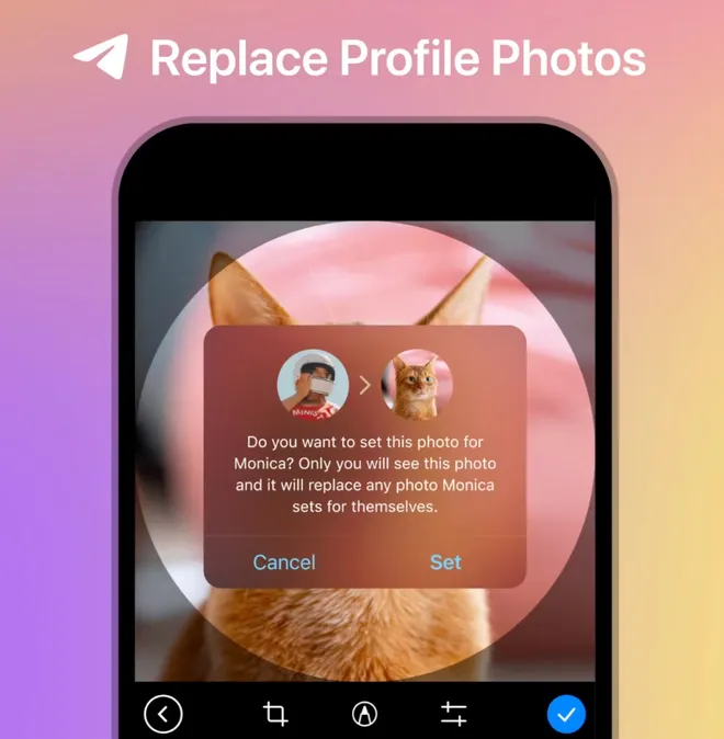 Ao definir uma foto de perfil para outro contato, nem o dono do perfil em questão saberá da mudança (Imagem: Reprodução/Telegram)