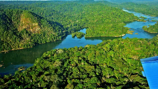 Estudo da NASA revela que Amazônia é decisiva para conter aquecimento global