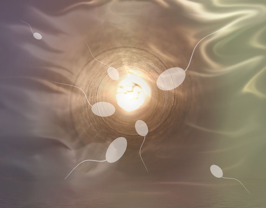 Anticoncepcional sem hormônio usa anticorpos para "cancelar" espermatozoides