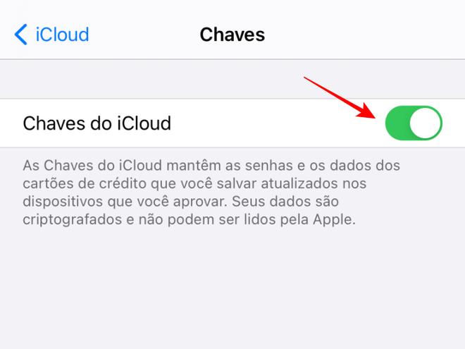 Deslize para ativar as Chaves do iCloud - Captura de tela: Thiago Furquim (Canaltech)