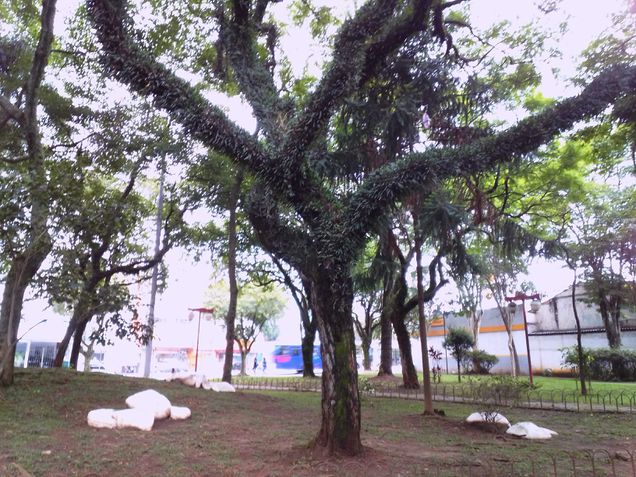 Foto tirada com o modo automático no Ultra U10