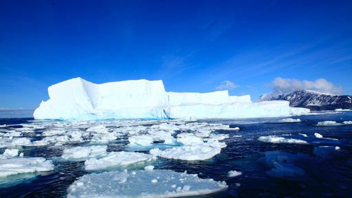 Derretimento no Ártico pode liberar quantidade perigosa de carbono na atmosfera