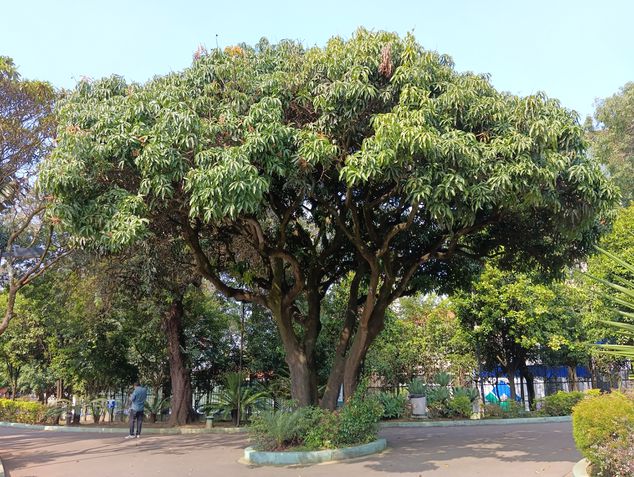 Poco M5: câmera principal
