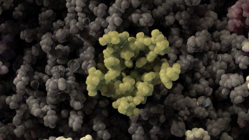 Cientistas criam modelo inédito e ultrarrealista do novo coronavírus; veja!