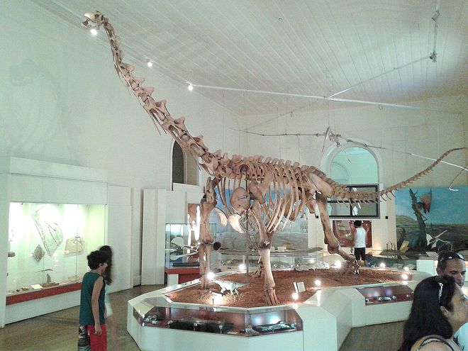 Maxakalisaurus topai