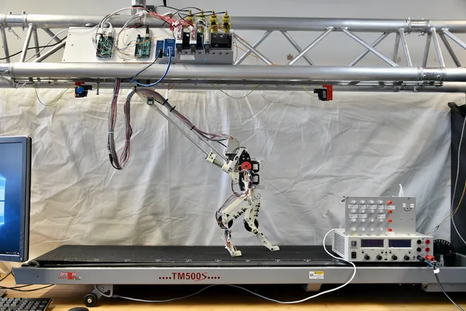 Perna robótica caminhando na esteira (Imagem: Reprodução/Max Planck Institute)