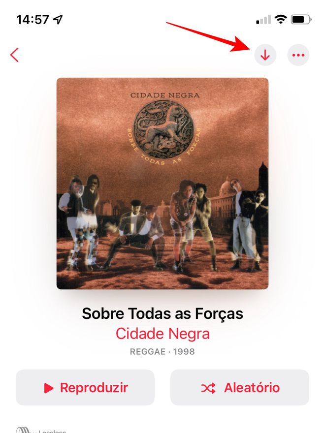O Apple Music, assim como os principais streamings para iPhone, permite o download de músicas para escutar offline - Captura de tela: Thiago Furquim (Canaltech)