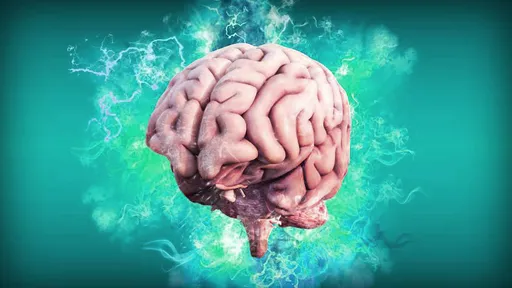 AI muda a maneira como cientistas entendem o cérebro humano