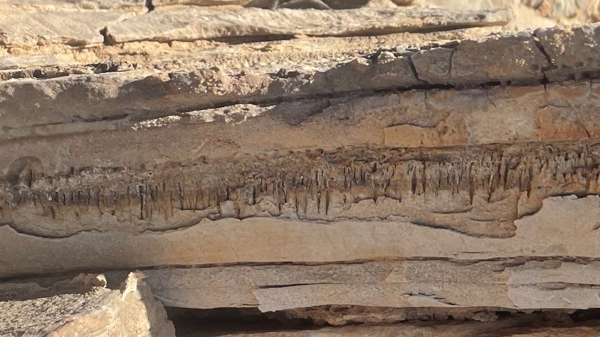 Forma de vida desconhecida fez abrigos no deserto da Namíbia há 1 milhão de anos