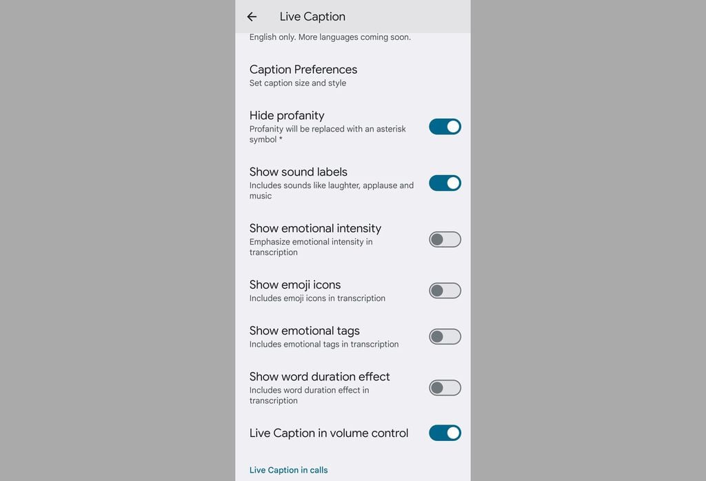 Novas opções de configuração da ferramenta Transcrição instantânea (Imagem: Reprodução/Android Authority)