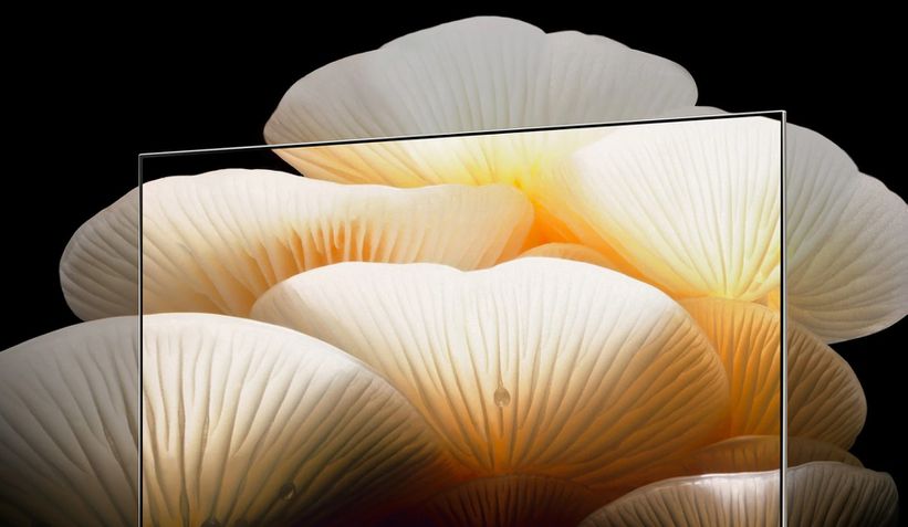 LG OLED Posé