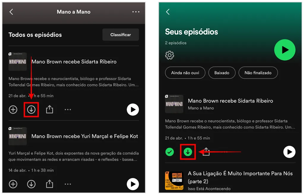 App para Android e iPhone tem botão para baixar podcast do Spotify no celular (Captura de tela: Caio Carvalho)