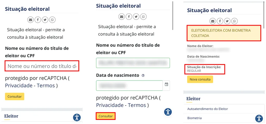Nessa página, você pode verificar como se encontra sua situação eleitoral (Captura de tela: Canaltech/Felipe Freitas)