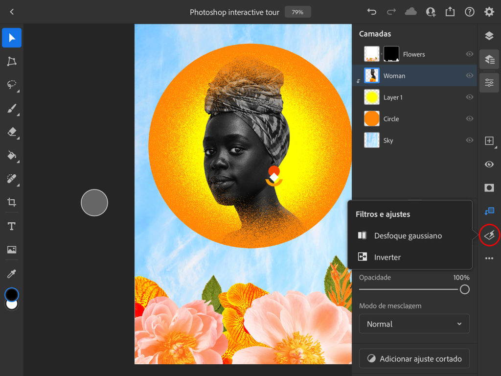Ajuste o desfoque ou inverta as cores da imagem no menu correspondente - Captura de tela: Thiago Furquim (Canaltech)
