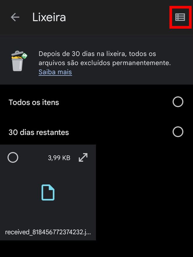 Toque no ícone de grade caso queira mudar a forma de visualizar os arquivos (Captura de tela: Matheus Bigogno)