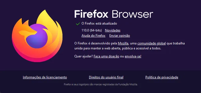 Novo Firefox 110 já está disponível (Imagem: Captura de tela/Douglas Ciriaco/Canaltech