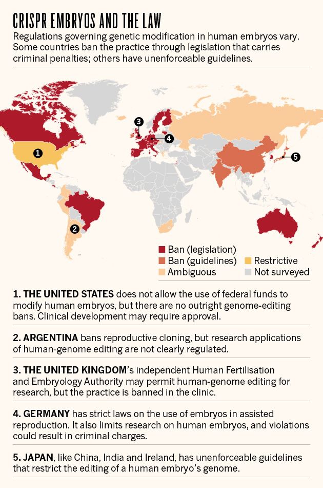 Infográfico mostra a situação legal do uso da tecnologia CRISPR de edição genética: os países em vermelho, como o Brasil, efetivamente proíbem o uso da tecnologia ou do emprego científico da clonagem humana assistida (Imagem: Reprodução/Nature)