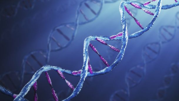 Cientistas criam o primeiro embrião humano geneticamente modificado