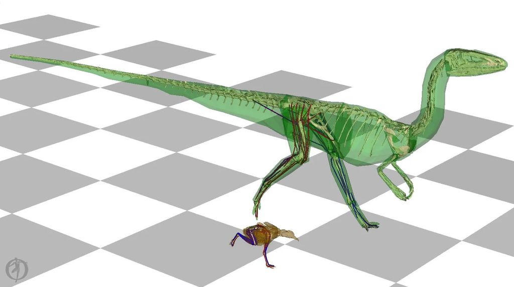 Fóssil de dinossauro tão perigoso quanto o T. Rex é encontrado no  Uzbequistão - Canaltech