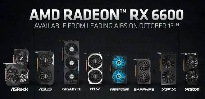 A Radeon RX 6600 chega apenas em modelos customizados, via parceiras como ASUS, SAPPHIRE e MSI (Imagem: AMD)