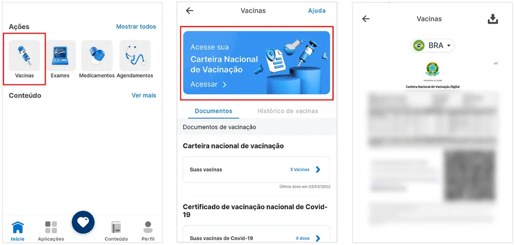 Faça o download da segunda via da Carteira de Vacinação Digital (Imagem: Captura de tela/André Magalhães/Canaltech)