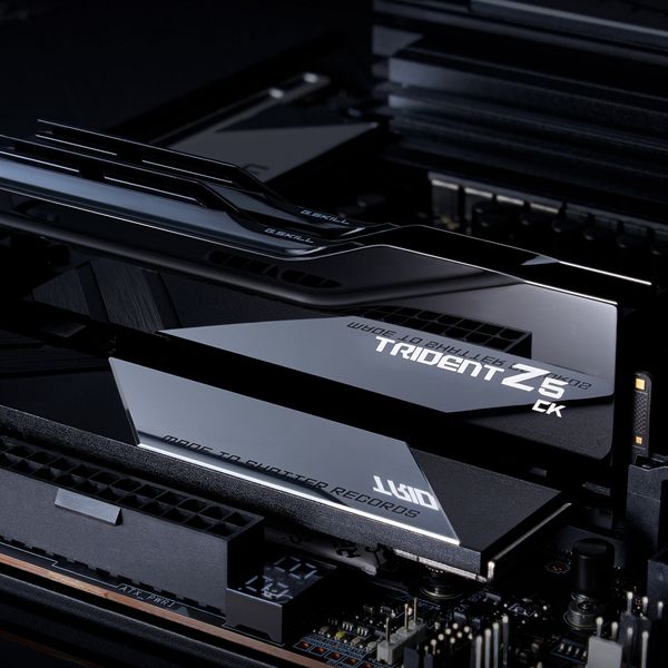 サクリファイス 1064 i948507.jpeg