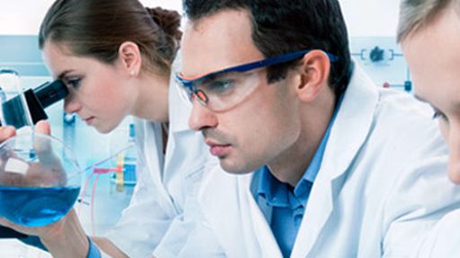 Nova técnica de laboratório permite ver camundongos inteiros transparentes