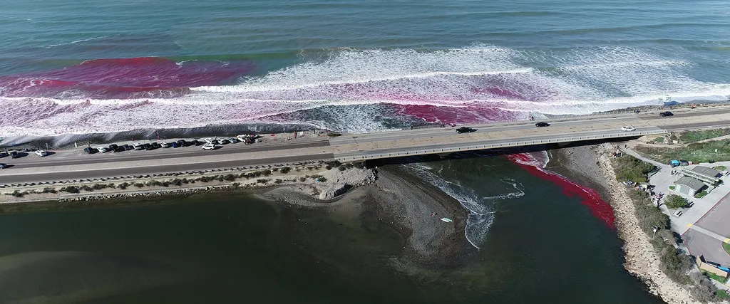 Imagem de drone mostra o local de lançamento do corante rosa, no encontro da Los Peñasquitos Lagoon com o mar em San Diego (Imagem: UC San Diego/Reprodução)