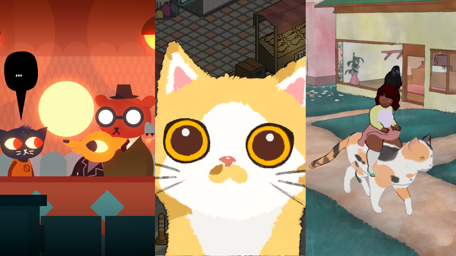 Jogos de Cuidar de Gatos no Jogos 360