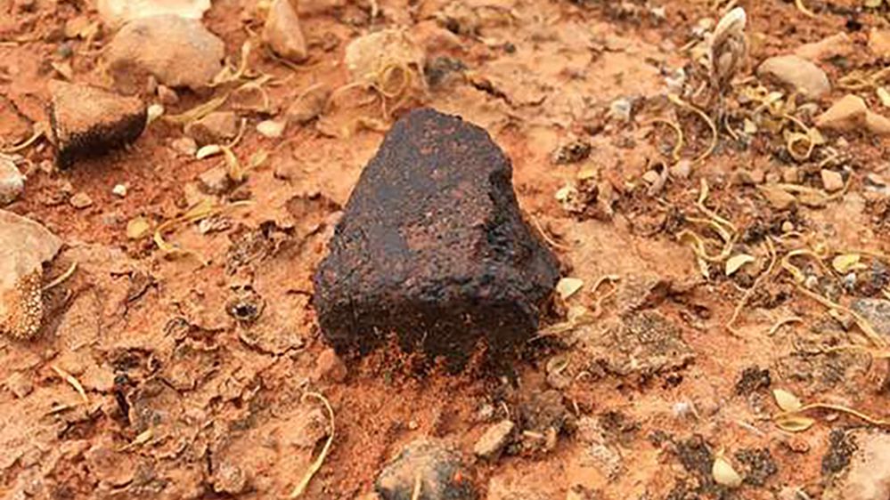 Meteorito Allan Hills 84001 (Imagem: Reprodução/Monash University)