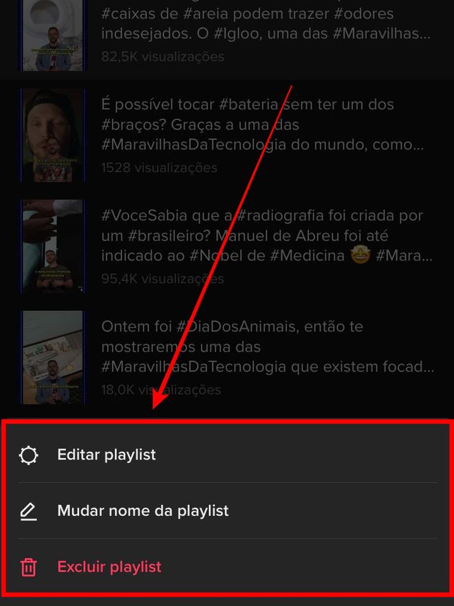 Se quiser adicionar ou remover um vídeo, ou até deletar uma playlist, basta acessar esse menu em cada lista (Captura de tela: Leo Cunha/Canaltech)