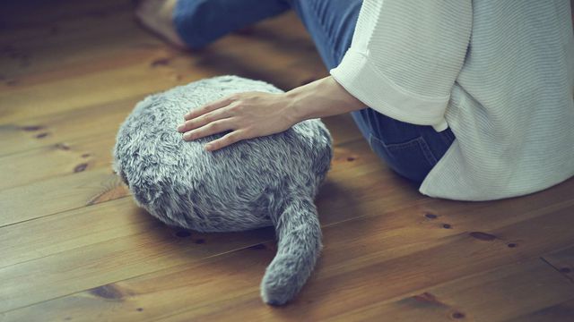 Parece bizarro, mas não é: gato robótico sem cabeça pode ser seu novo pet
