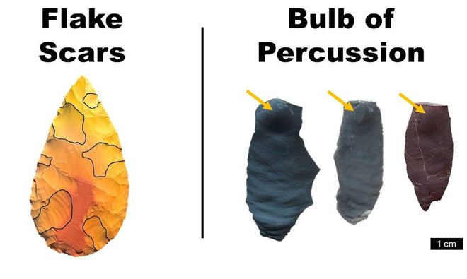 À esquerda, exemplo de cicatrizes de floco, onde a pedra foi golpeada para retirada de pedaços; à direita, bulbos de percussão, que surgem no processo de golpe na pedra (Imagem: John K. Murray)