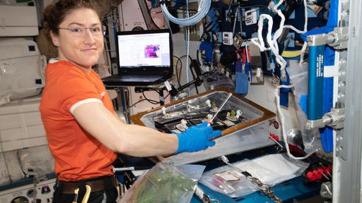 Astronauta Christina Koch quebrará recordes e ficará 328 dias no espaço