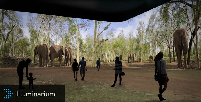 Novo projeto Illuminarium terá o primeiro safari virtual presencial do mundo (Imagem: Divulgação/Panasonic)
