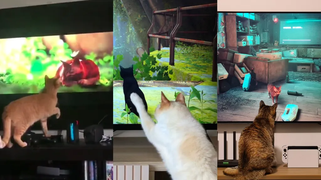 Stray  Gatos ao redor do mundo reagem ao jogo - Canaltech