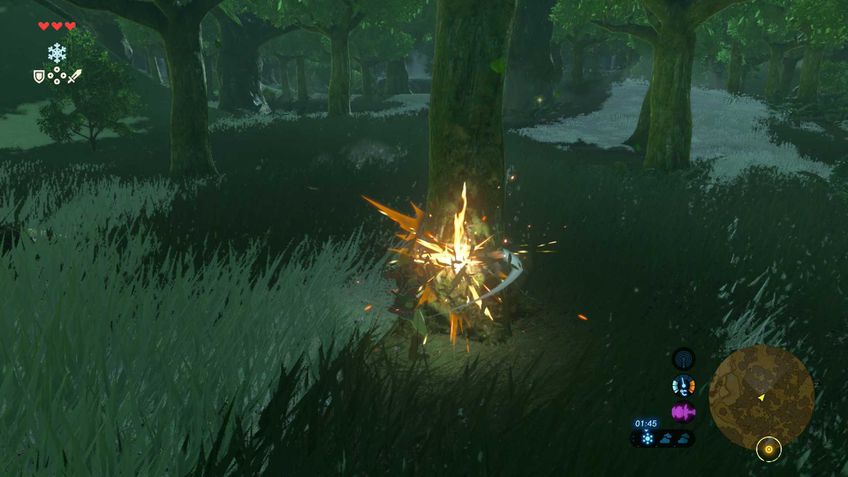 The Legend of Zelda: Breath of the Wild - Edição Nintendo Switch 2