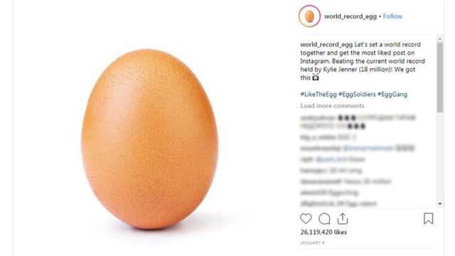 (Imagem: Reprodução/Instagram/@world_record_egg)