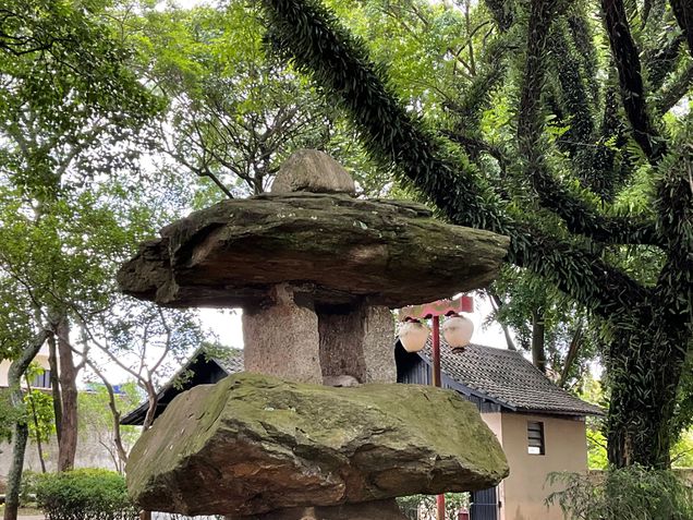Foto tirada com o zoom em 2x no iPad Mini (2021)