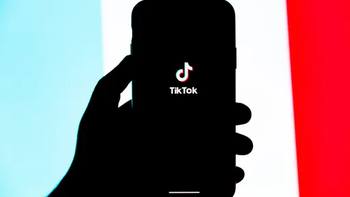 TikTok deve introduzir ferramenta de automação para exclusão de vídeos ilegais