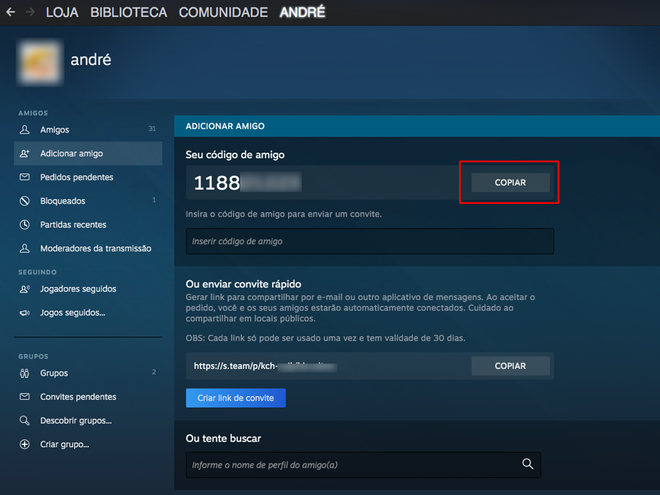 Encontre seu código de amigo da Steam (Imagem: André Magalhães/Captura de tela)