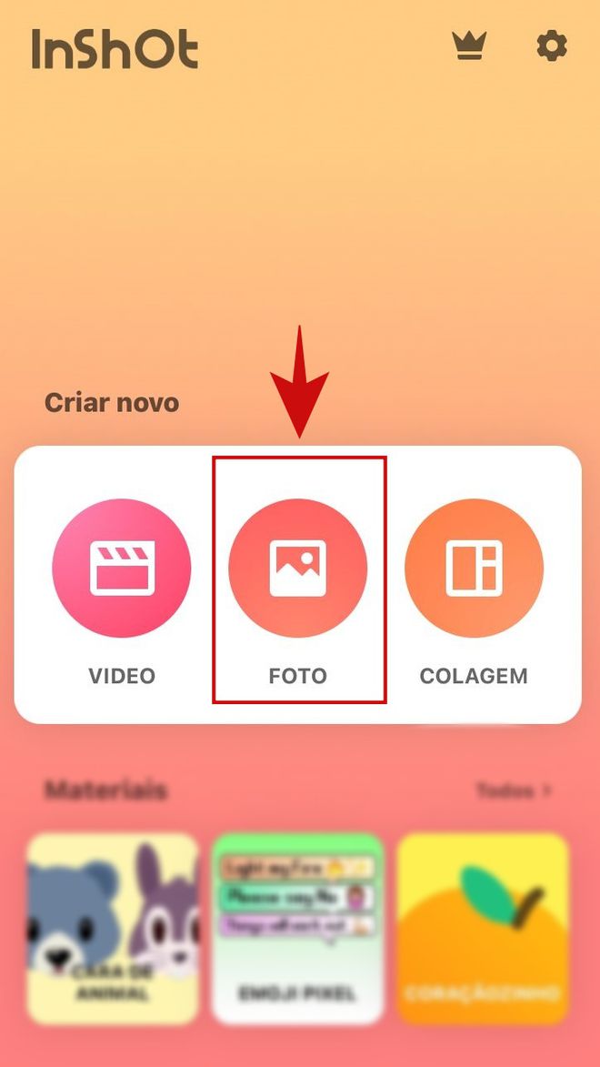 É possível fazer colagens no InShot. (Imagem: Kris Gaiato/Captura de tela)