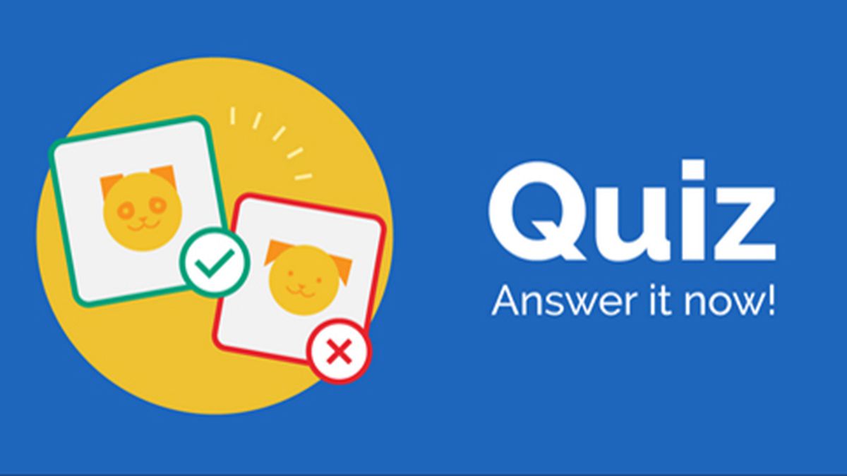 Quiz perguntas e respostas !, Quiz perguntas e respostas ! Vamos tentar  responder antes da resposta aparecer ?, By Quiz - perguntas e respostas