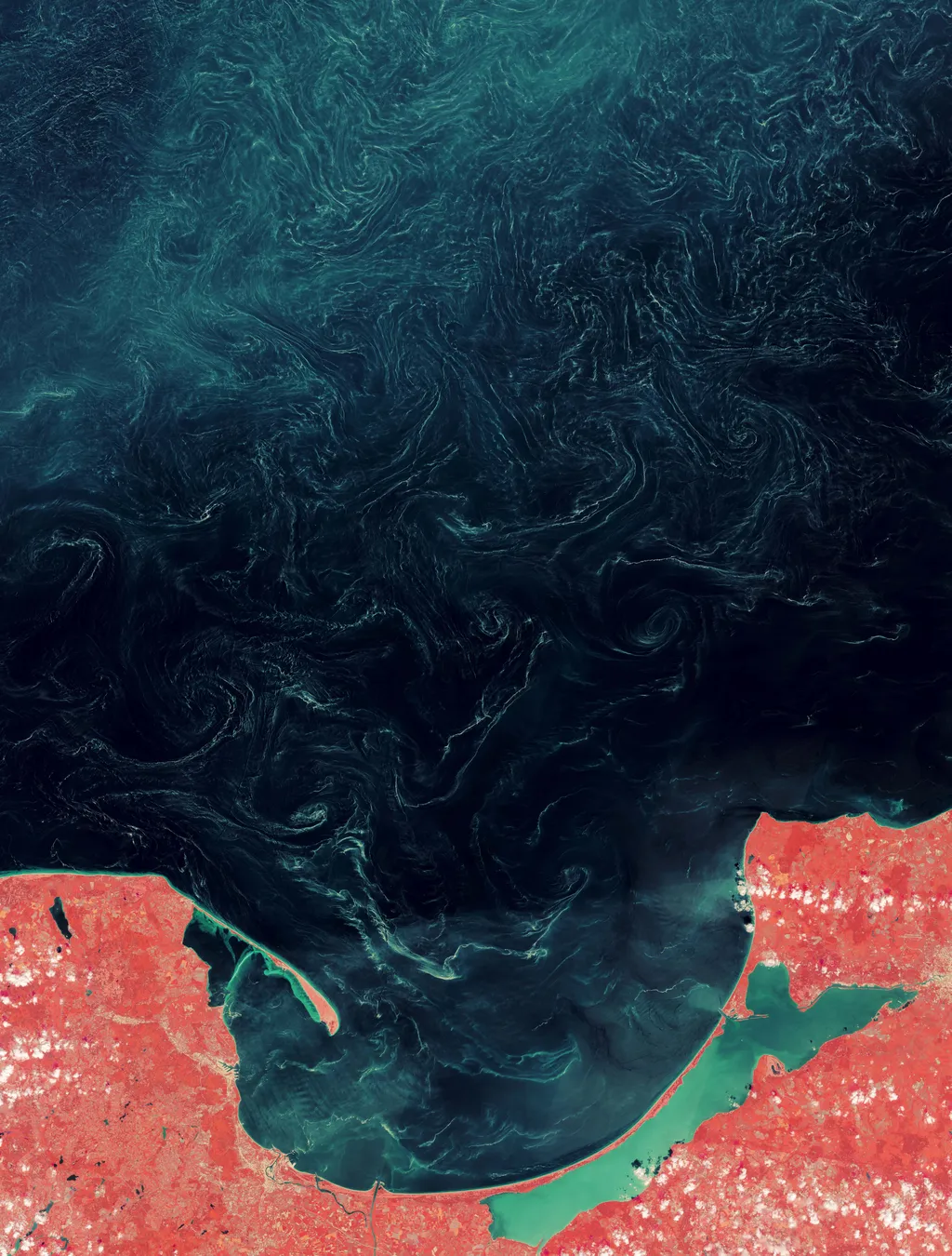 Espirais formadas por pólen em imagem de satélite em falsa cor (Imagem: ESA/NASA Earth Observatory)