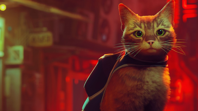 Stray  Jogo protagonizado por gato é lançado para PS4, PS5 e PC - Canaltech